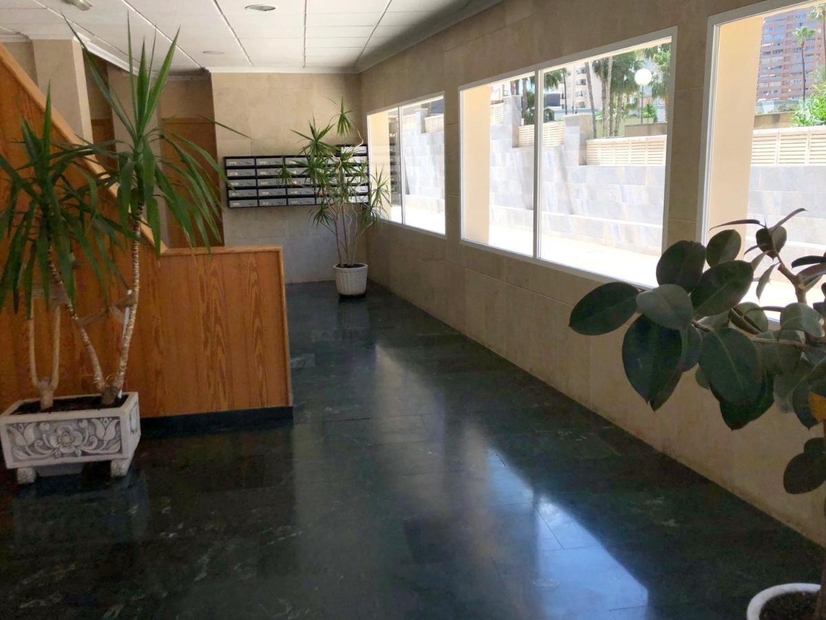 Holiday Apt Niza 10B Benidorm Exteriör bild